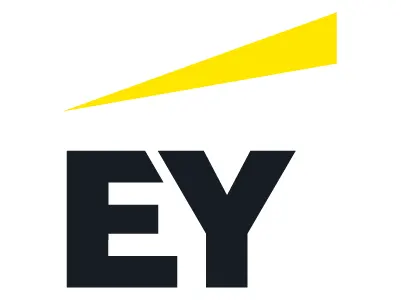 Chartered Accountant Company - E&Y
