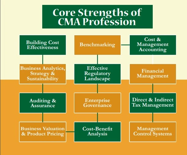 Different Job Profiles of CMA